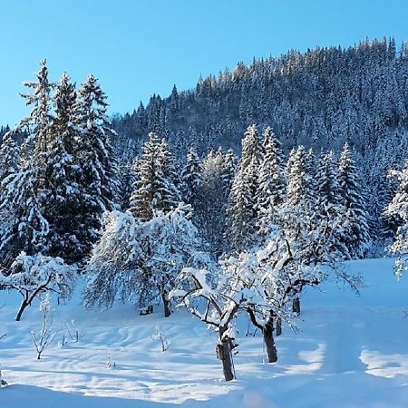 Ferienhof Am Holderbusch Διαμέρισμα Füssen Εξωτερικό φωτογραφία