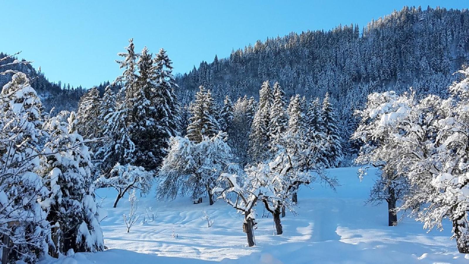 Ferienhof Am Holderbusch Διαμέρισμα Füssen Εξωτερικό φωτογραφία