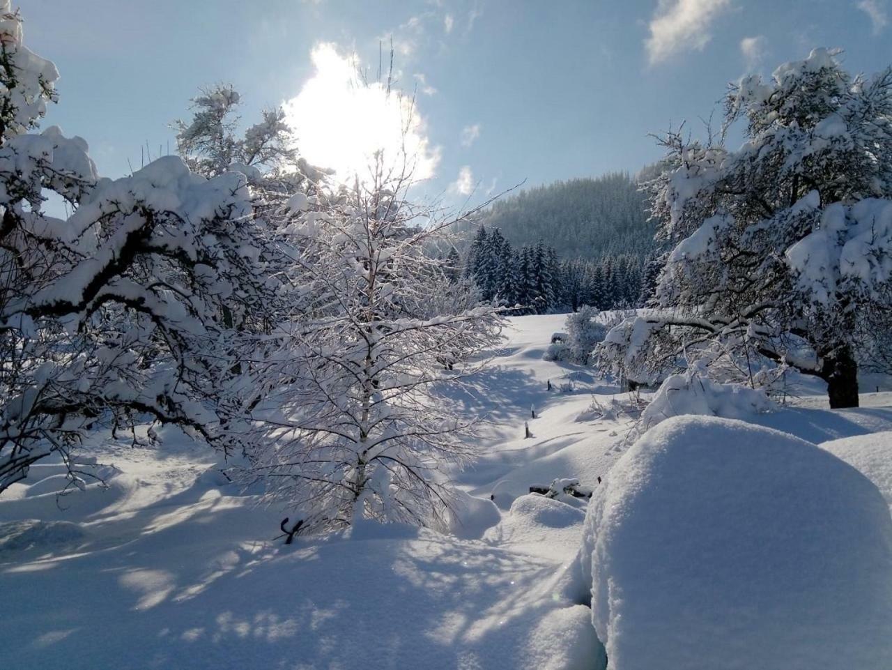 Ferienhof Am Holderbusch Διαμέρισμα Füssen Εξωτερικό φωτογραφία